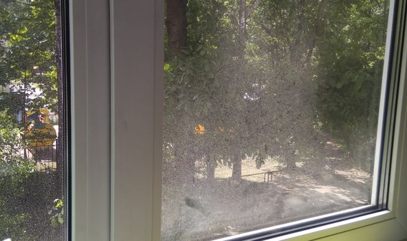 Мойка окон, балконов, эркеров в коттеджах, загородных домах до